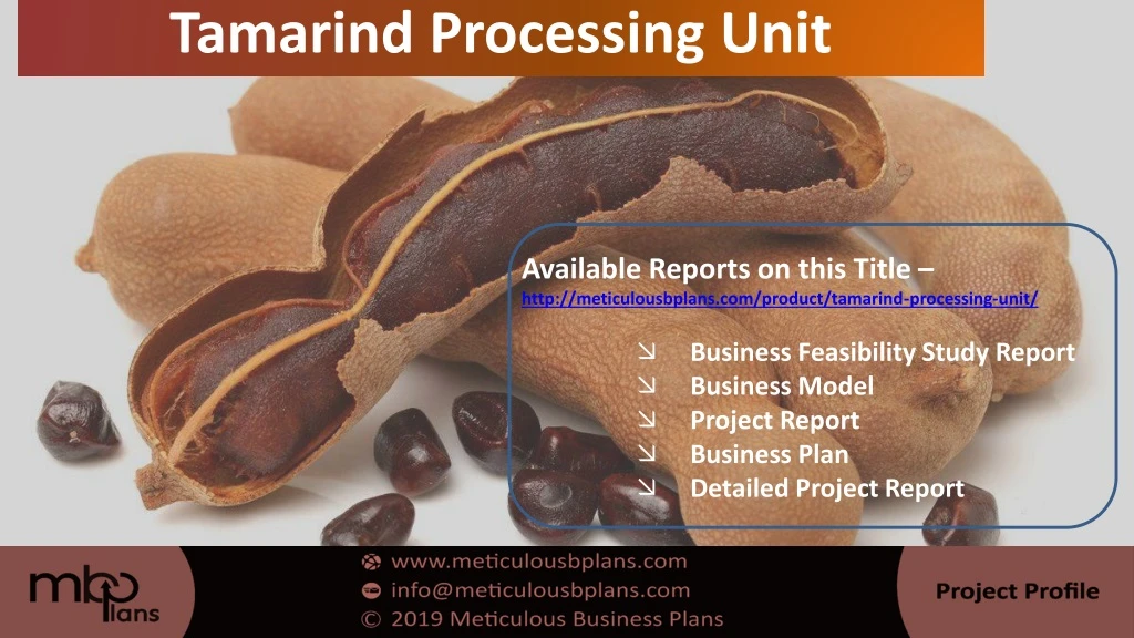 tamarind processing unit