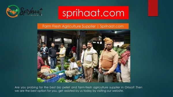 Eco Friendly Bio Chulha for Sale | Sprihaat.com