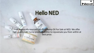Hello NED - slide 1