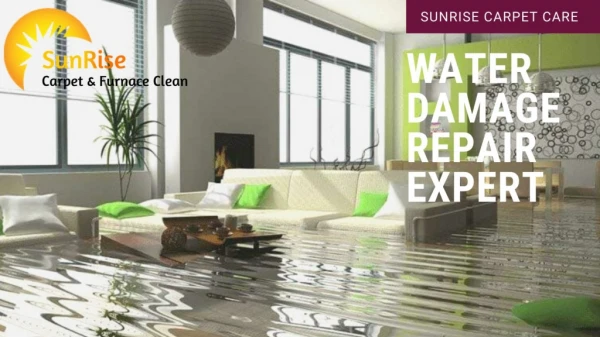 Water Damage Repair Expert- Sunrise Carpet Care