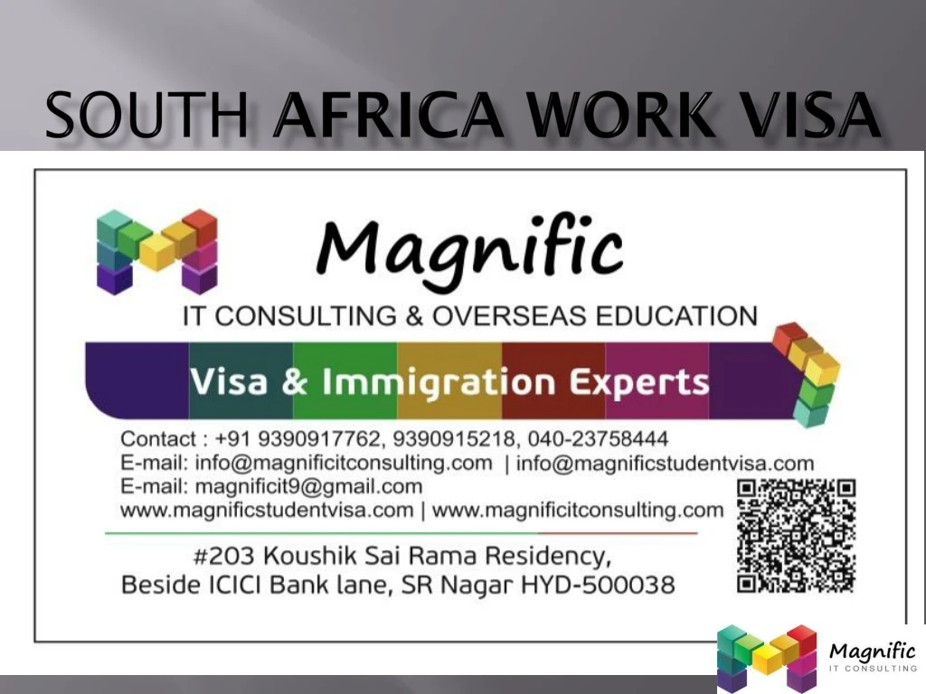 south africa work visa