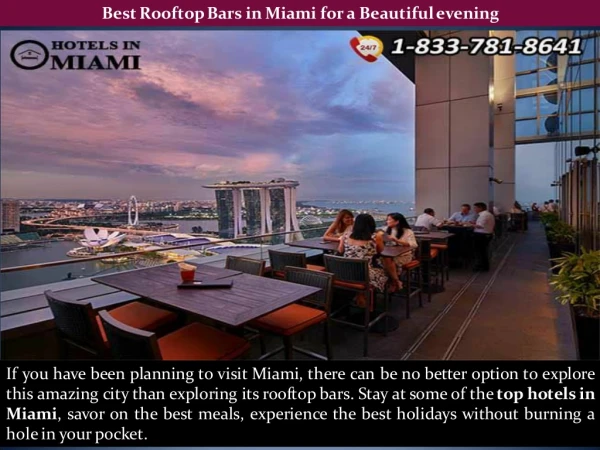 Best Rooftop Bars in Miami for a Beautiful evening