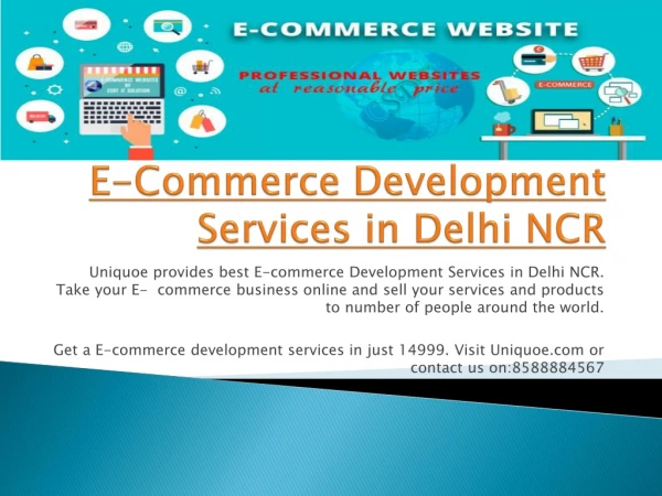 E-Commerce Development Services in Delhi NCR