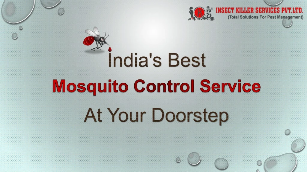 india s best mosquito control service at your