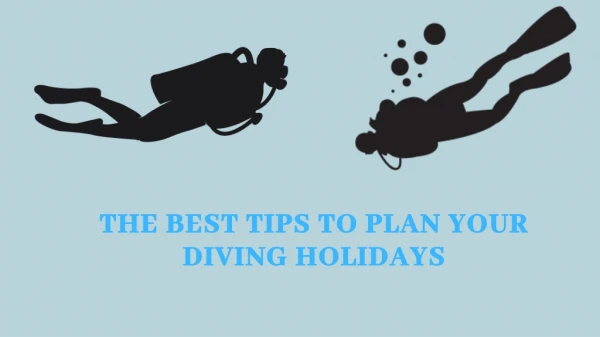The best tips to plan your diving holidays