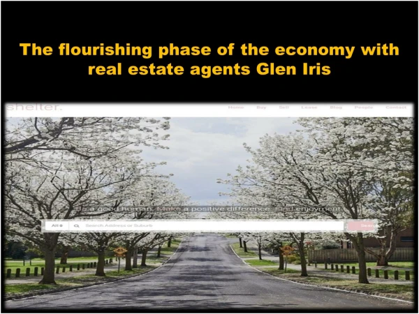 Real estate agents Glen Iris - Shelter Real Estate