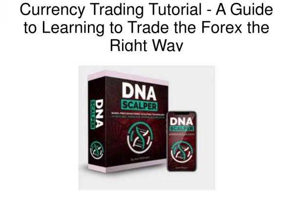 Currency Trading Tutorial - A Guide to Learning to Trade the Forex the Right Way