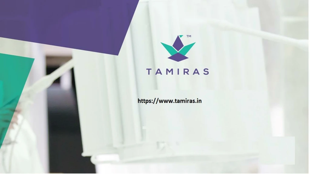 https www tamiras in