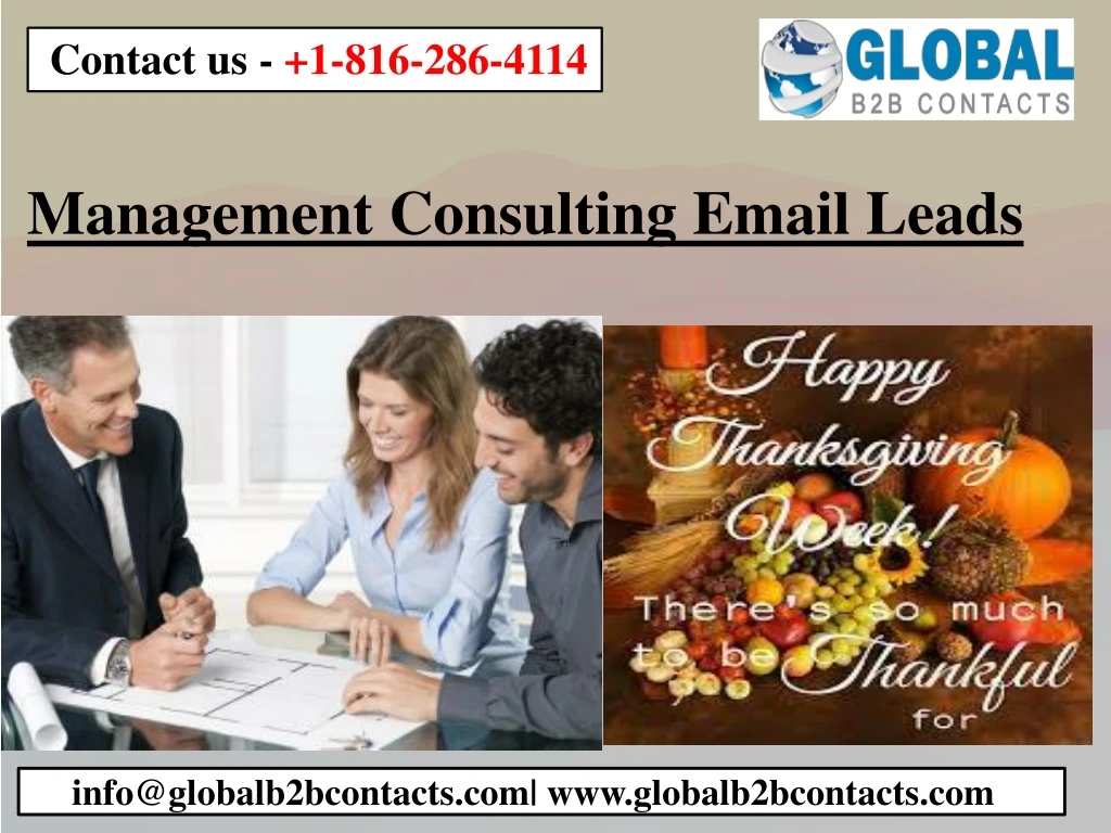 management consulting email leads