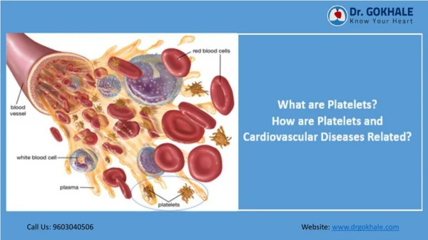 What are Platelets-How are Platelets and Cardiovascular Diseases Related | Dr Gokhale