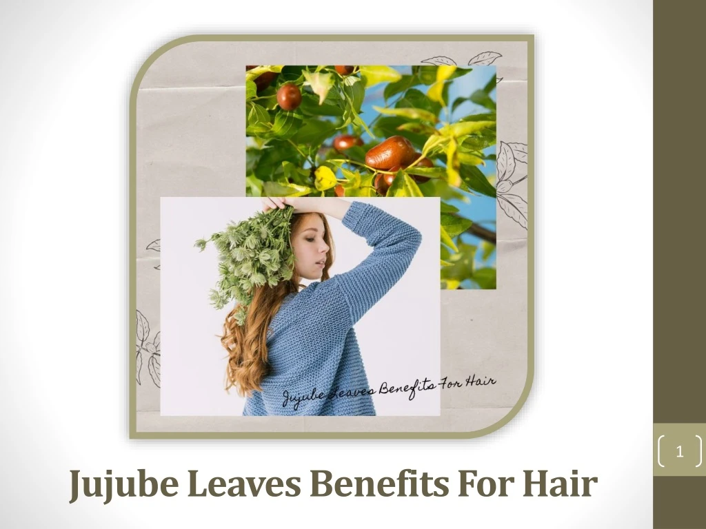 jujube leaves benefits for hair