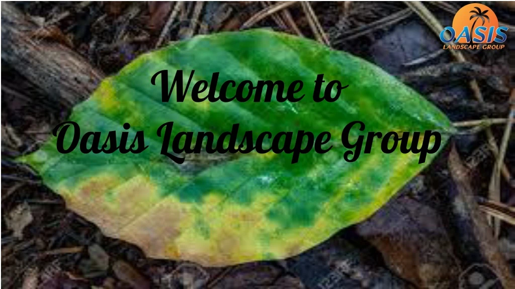 welcome to oasis landscape group