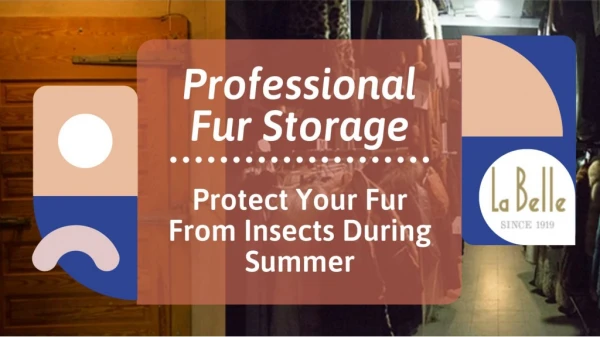 How to Care for Your Furs During Off-Season - Labelle Since 1919