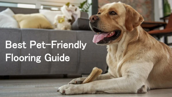 Guide For Best Pet Friendly Flooring