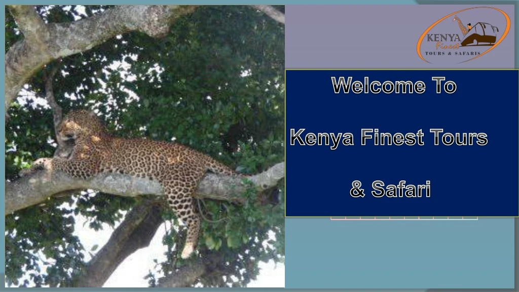 welcome to kenya finest tours safari
