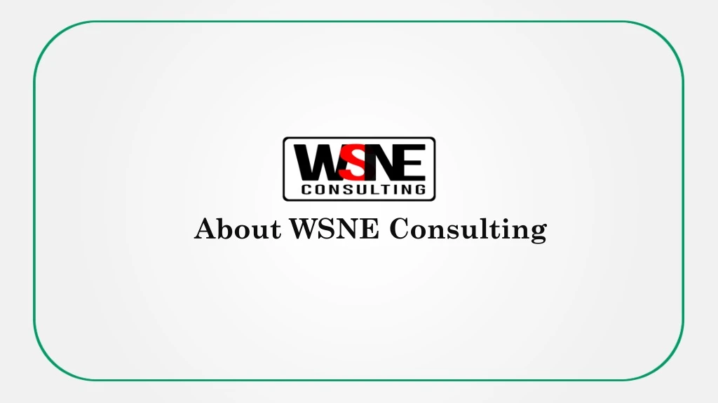 about wsne consulting