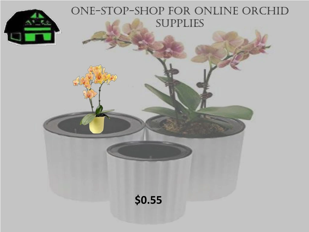 one stop shop for online orchid supplies
