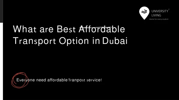 What are Best Affordable Transport Option in Dubai
