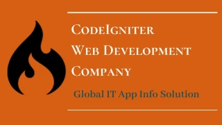 Codeigniter Web Development Company - slide 1