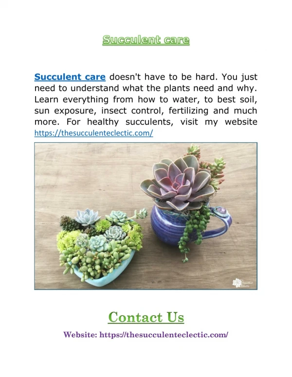 Succulent care
