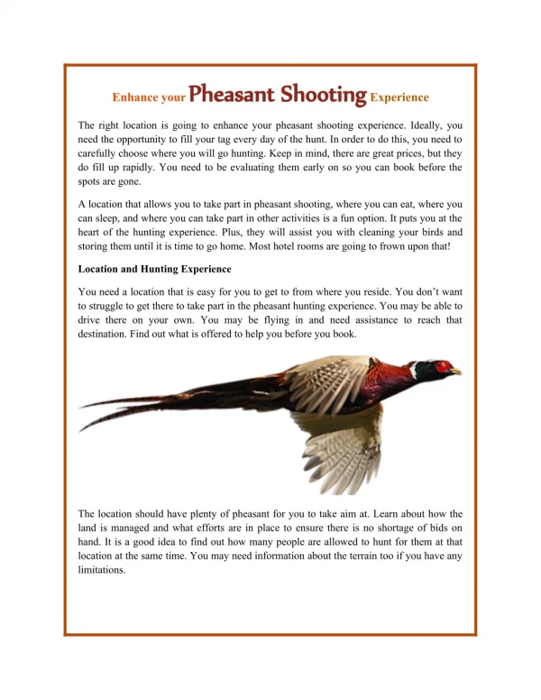 Enhance your Pheasant Shooting Experience
