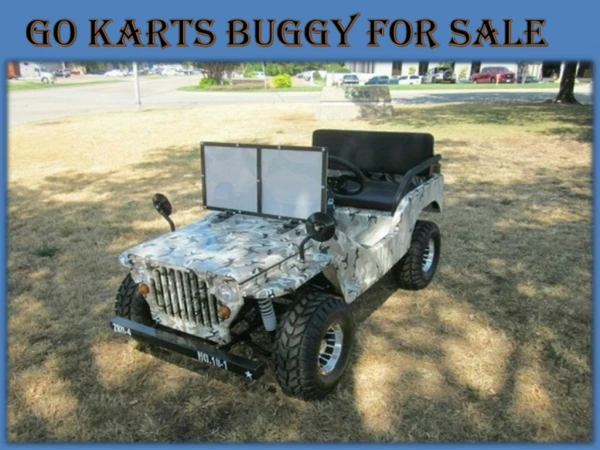 Go Karts Buggy for Sale