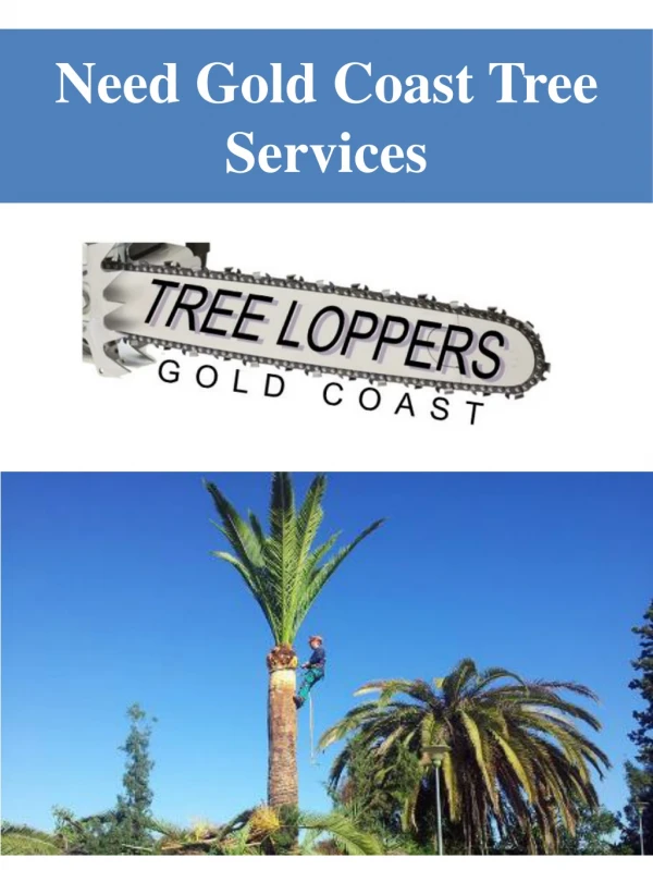 Need Gold Coast Tree Services