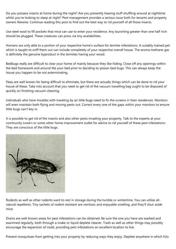 Wonderful Pest Management Tips You Can Begin Using Today