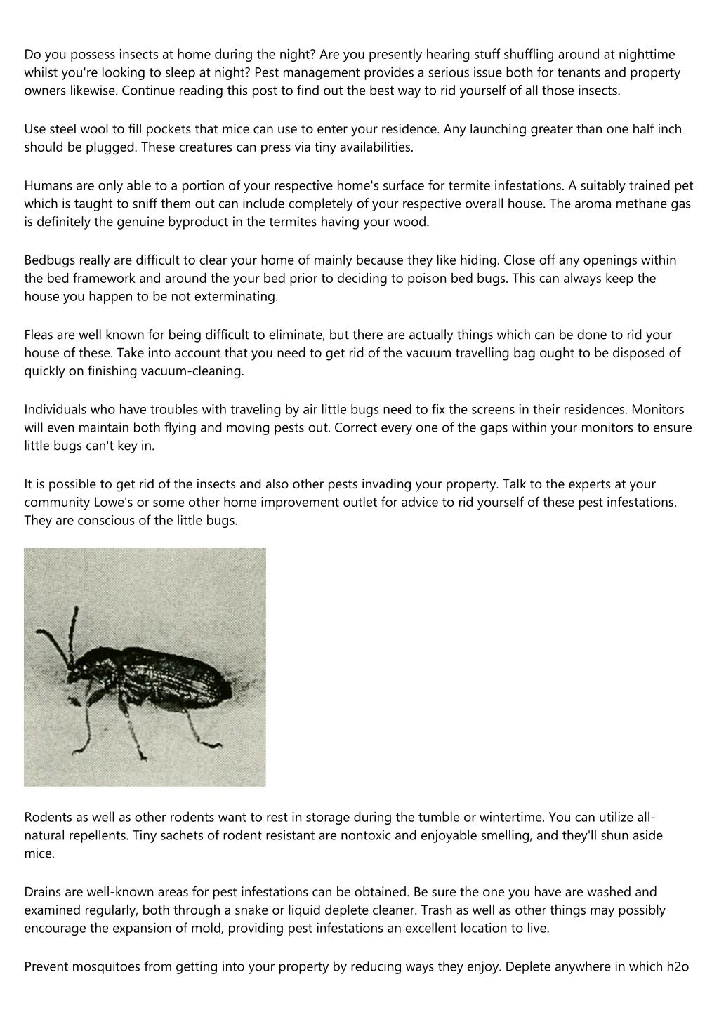 do you possess insects at home during the night