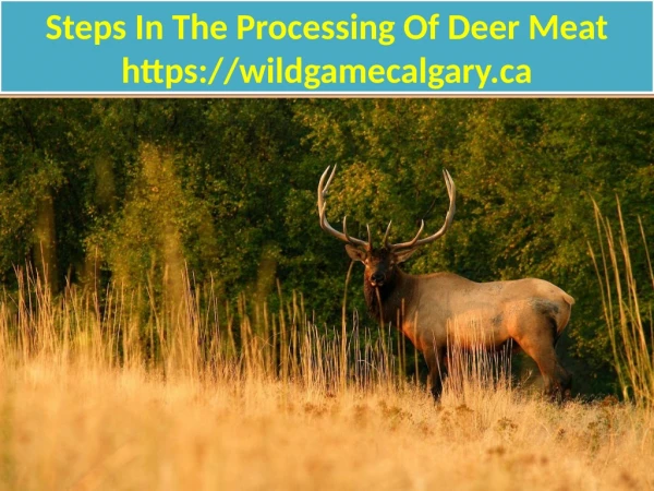 Steps In The Processing Of Deer Meat