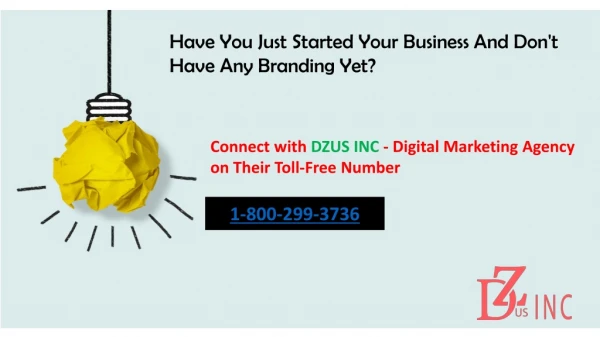 DZUS INC - Digital Marketing Service Providing Company