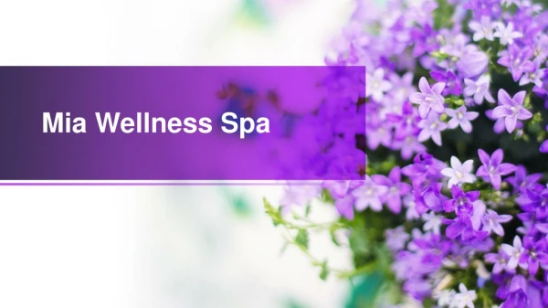 Massage Therapy Etobicoke: Mia Wellness Spa