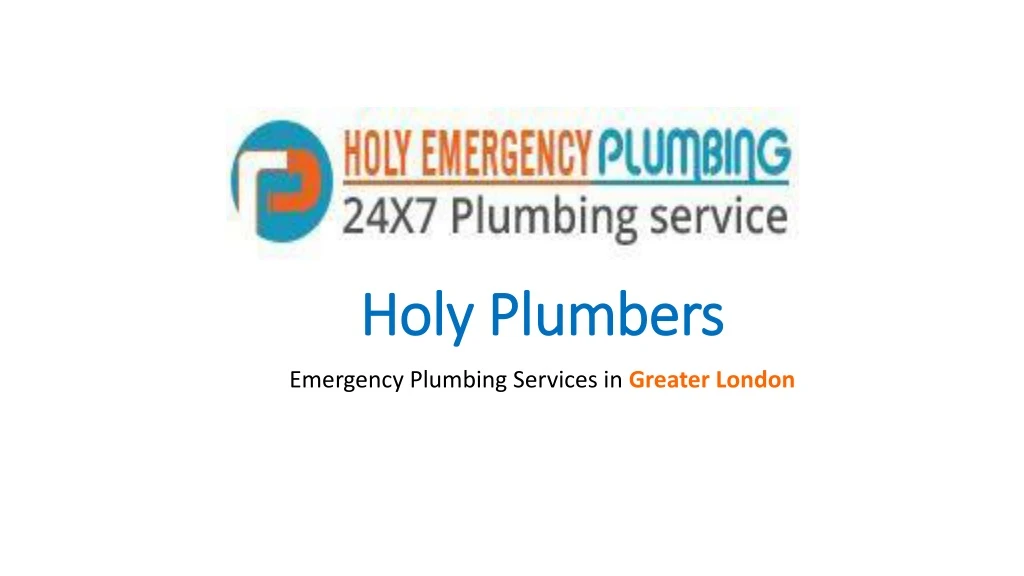 holy plumbers