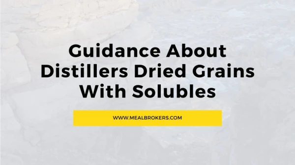 Get the Best Guidance About Distillers Dried Grains With Solubles
