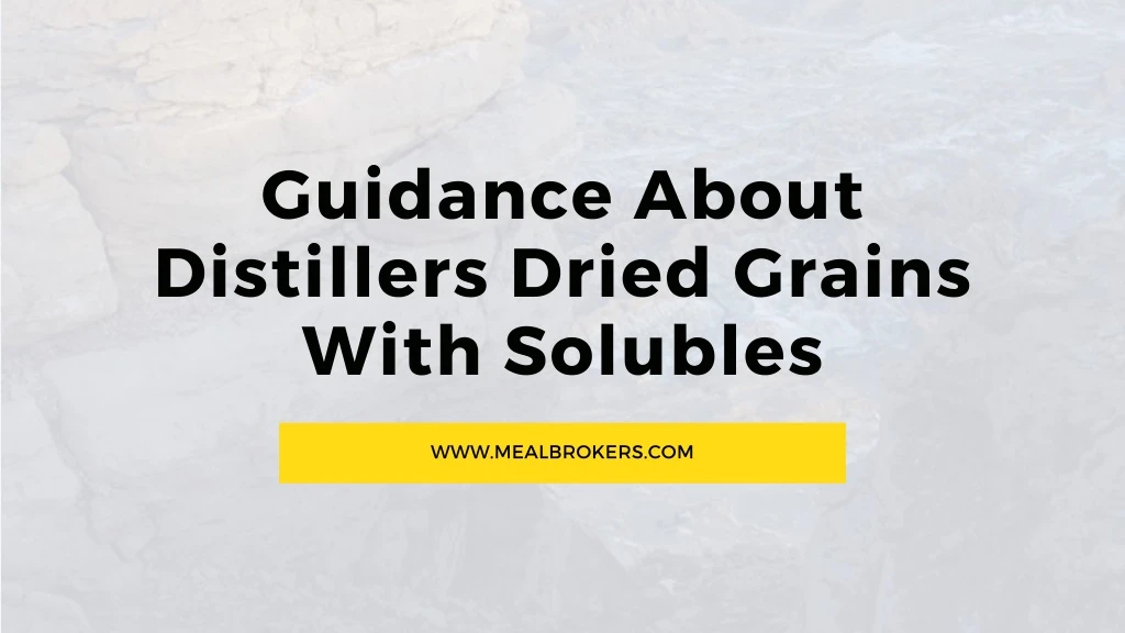 guidance about distillers dried grains with