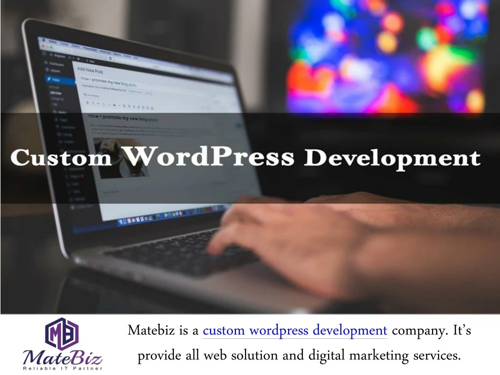 matebiz is a custom wordpress development company