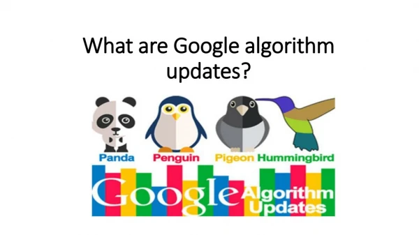 What are Google algorithm updates.