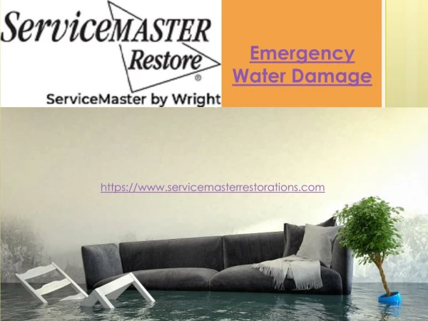 Water Damage Solution in Marco Island