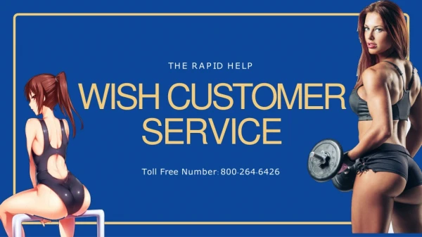 Wish customer service 800-264-6426 Wish Phone Number
