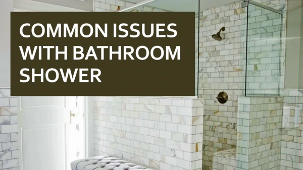 Common Issues With Bathroom Shower