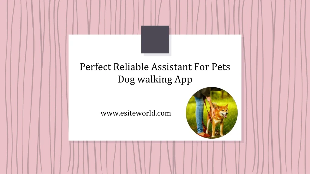 perfect reliable assistant for pets dog walking app