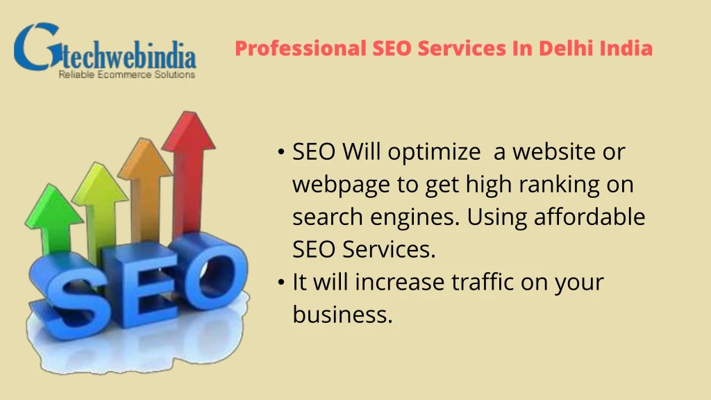 professional seo services in delhi india