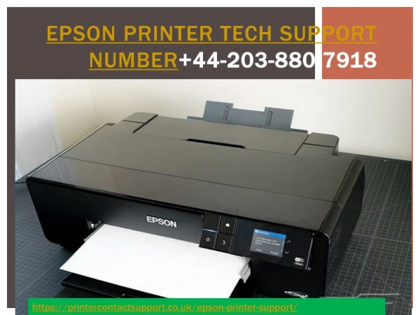 Epson Printer Technical Support Phone Number 44-203-880-7918