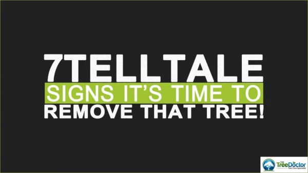 7 Telltale Signs Its Time To Remove That Tree