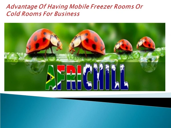 Advantage Of Having Mobile Freezer Rooms Or Cold Rooms For Business