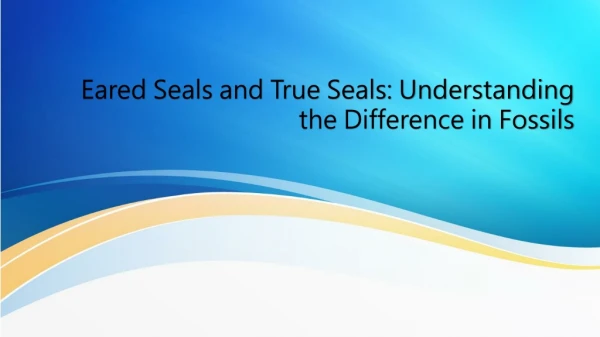 Eared Seals and True Seals: Understanding the Difference in Fossils