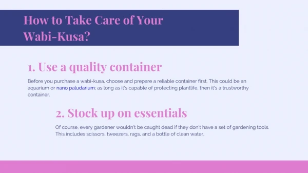 How to Take Care of Your Wabi-Kusa?
