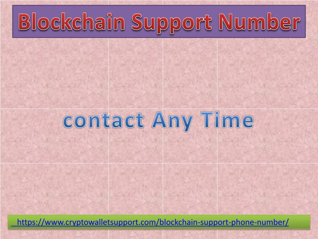 blockchain s upport number