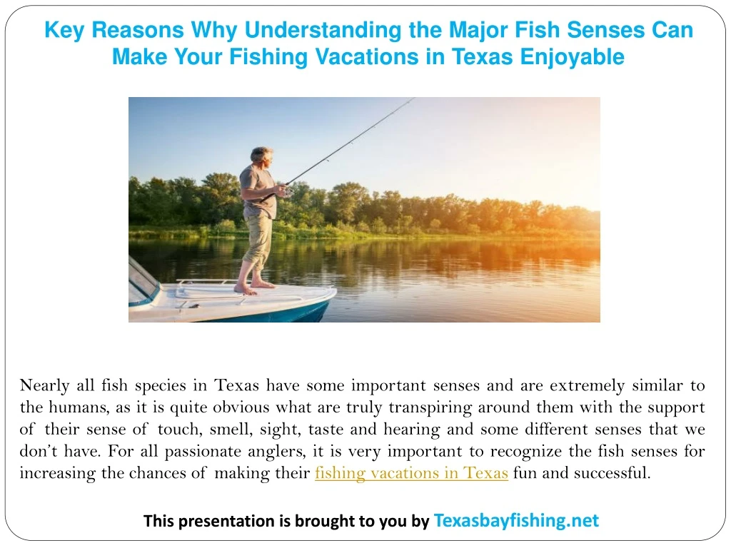 key reasons why understanding the major fish