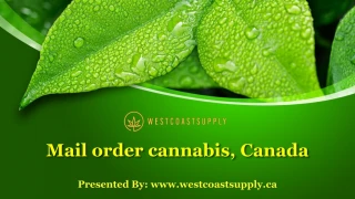 Mail order cannabis, Canada - slide 1